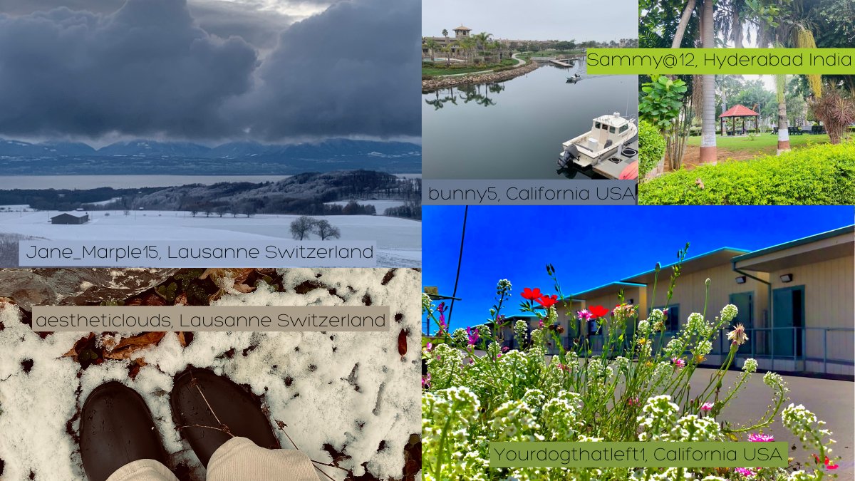 OutofEdenLearn's tweet image. One Walking Party with classes in India, Switzerland, and the US is learning how different exploring their neighborhoods can look on the same day across the world. One piece of the power of #slowlooking, #sharingstories, and exploring the local. 
#interculturalexchange #sschat