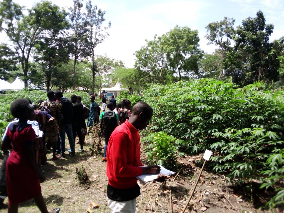 ANSAFForum's tweet photo. The Vi Agroforestry's Annual Symposium 2021

#ansafforum @ViAgroforestry https://t.co/Vxa1Z4H3KM