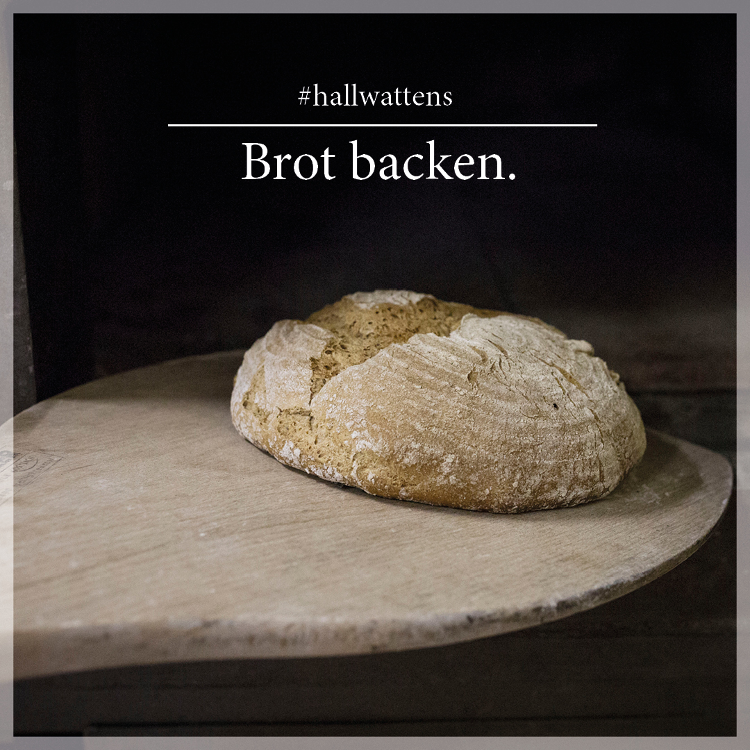 hallwattens's tweet photo. Gute Idee für #drinnen: Einfach mal selber Brot backen. Rezepte findet ihr hier: https://t.co/fbRuPXDN2P #hallwattens https://t.co/ZJXB48dpyw