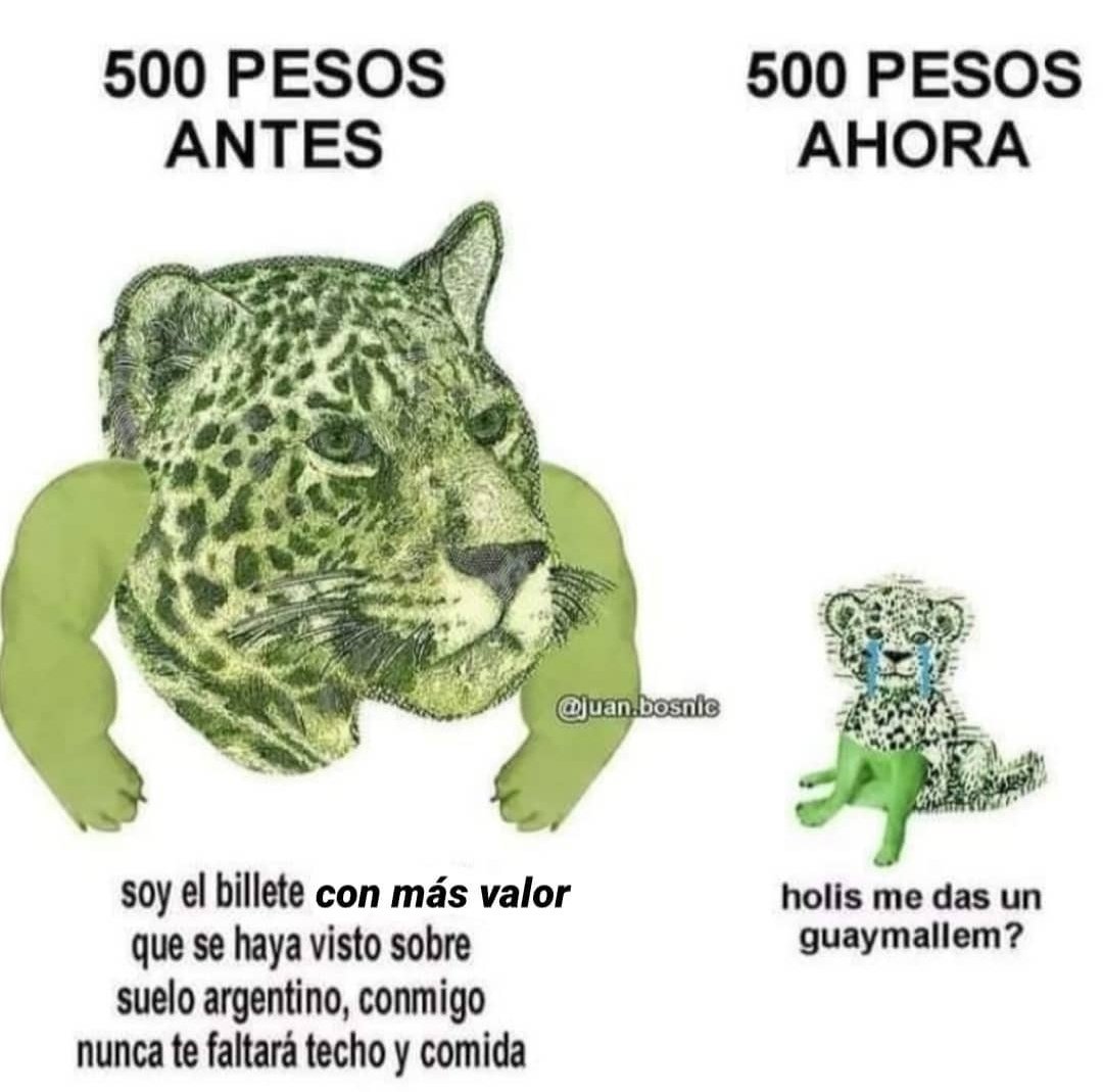 bautizita's tweet photo. https://t.co/NknqSRLyJ8
