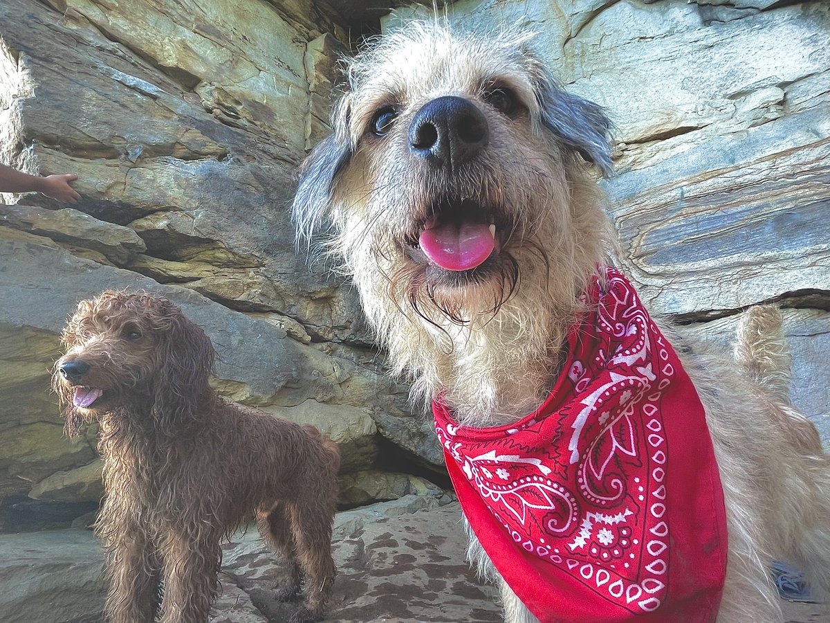 Jordan Elwell tweet media