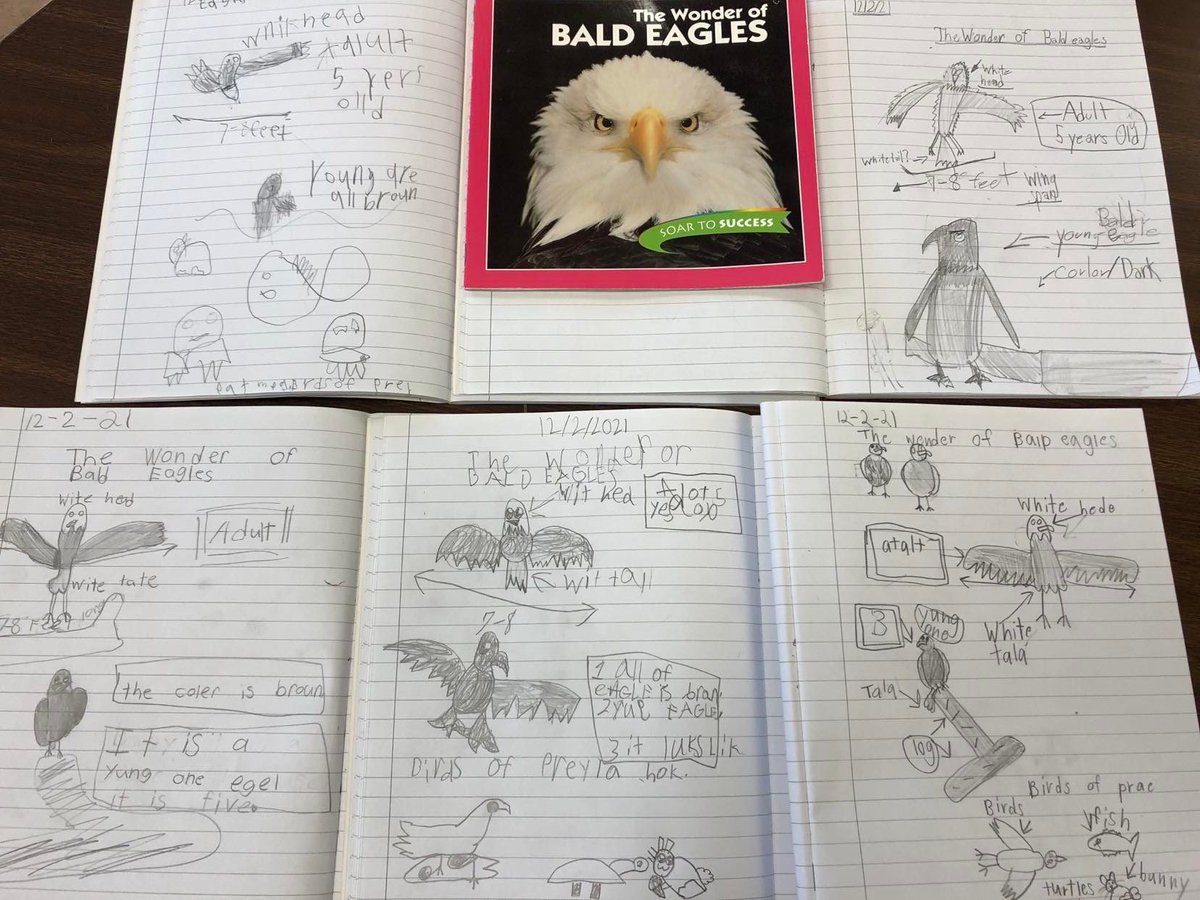 3rd graders are reading nonfiction, and recording what they learned with diagrams and labels. They are enjoying learning about animals, especially one close to my heart!
<a href="/LisaHutchison8/">Lisa Hutchison</a> <a href="/Cteeple4/">Christine Teeple</a> <a href="/NilesLniles/">Mrs. Niles</a>  <a href="/CopperHillES/">Copper Hill</a> <a href="/FlemRarSchools/">FlemRarSchools</a> <a href="/wildlifenj/">Conserve Wildlife NJ</a>