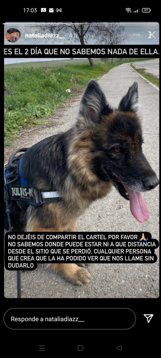 Ha desaparecido en Perales del Río (Getafe) a la altura  de la M50, 
Ayuda por favor si la veis!!