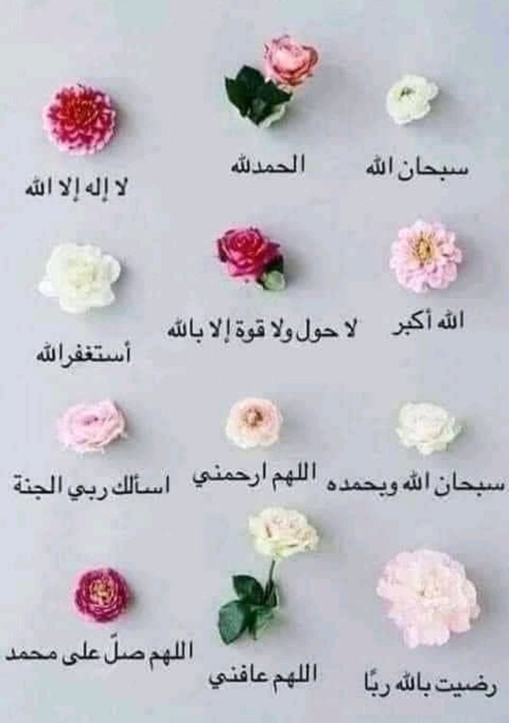 اختر وردة 
#اللهم_عافني