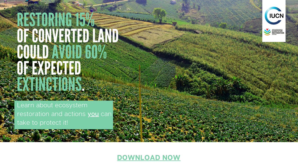 IUCN_forests's tweet photo. Restoration has the potential to generate over $9 trillion in ecosystem services.
IUCN’s toolkit on community organizing for #ecosystem restoration was created to empower every kind of changemaker to take action.
#generationrestoration
Read here: https://t.co/Be8lw37i6Y https://t.co/8xZBdfduZi