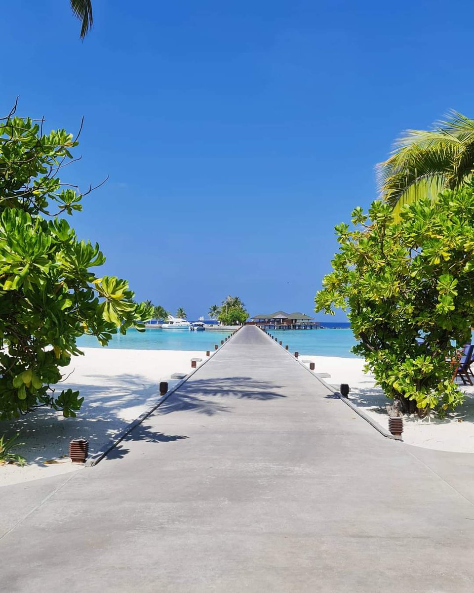 Weekend goal 😍

#maldives #travelphotography #traveldairies #mytraveldrafts #digitalnormad #travelinsperations .