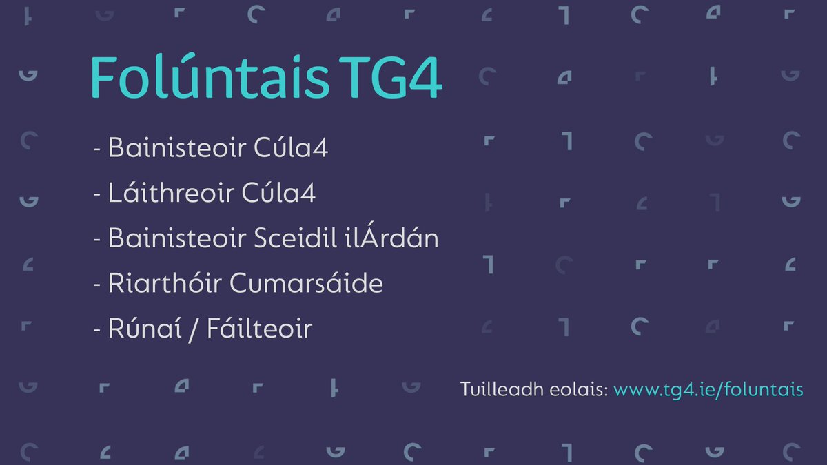 Bliain nua, post nua?? 🧚‍♀️Tá 5 fholúntas le líonadh! 

#Siógnabpost #jobfairy
