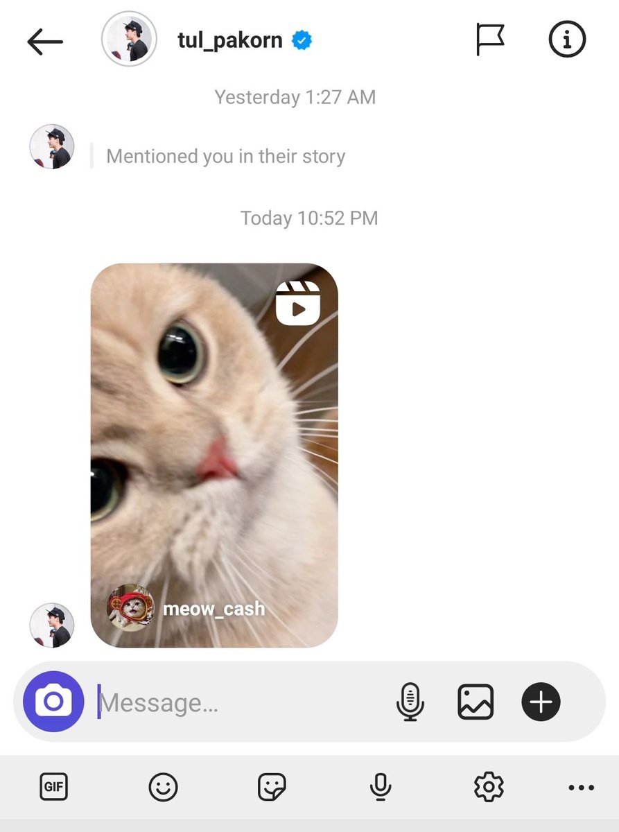 Maxiiin1's tweet photo. ทุกวันนี้ dm ผมกับ"เขา" มีแต่เเมว ไม่มีอีกแล้วคำว่า "เรา" 😭😭 @octotul https://t.co/GvgcQW9Dbm