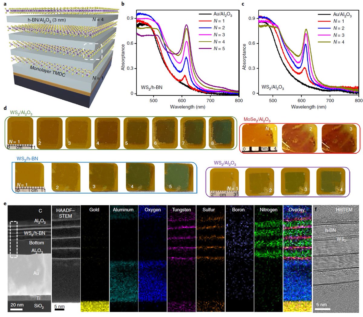 Deep Jariwala tweet media