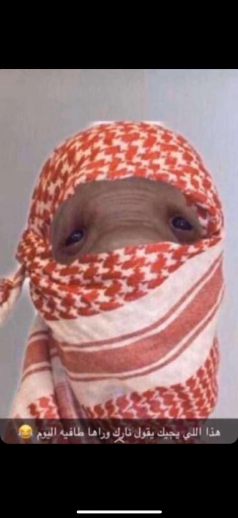 AlsamiiSLDG's tweet image. #الخميس_الونيس
كشخة البرد