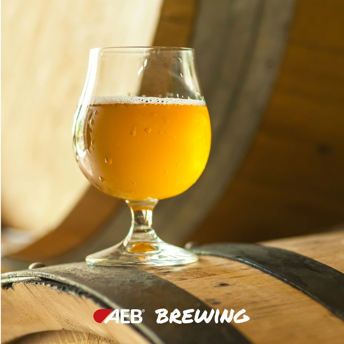 AebBrewing's tweet photo. Brewing delicious sour beer requires specific acid 🍺
FERMO Brew Acid ensure a low final pH of around 3.5, so you can achieve the perfect level of sourness married with other flavour attributes.

Learn more about brewing sour beer here 👇

https://t.co/VvdqaSPUcz

#Brewery https://t.co/7rHu6ORxeL