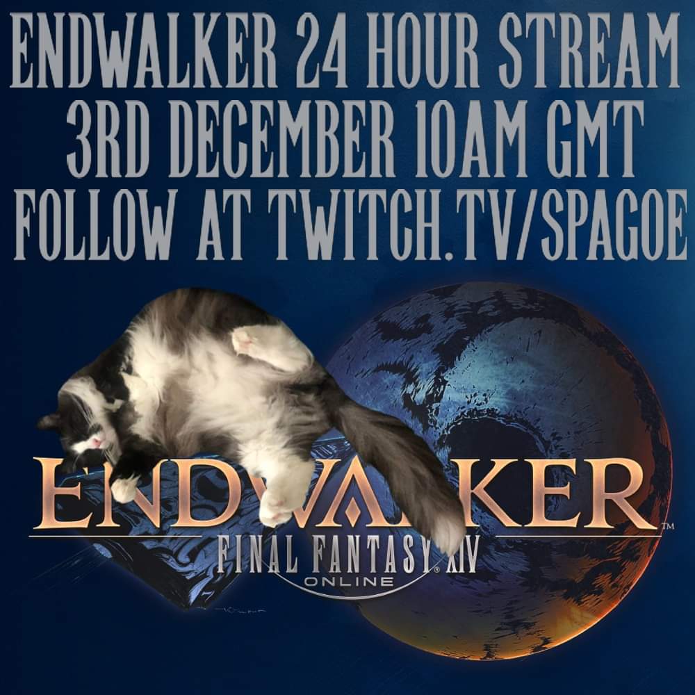spagoetwitch's tweet photo. Tomorrow I will be streaming for a long time and there will be a cat come watch at https://t.co/Nbz4vUsj5v and give me a follow, please share this if you want ✌️ https://t.co/ebibsV482e
