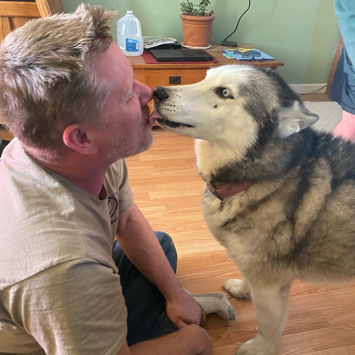 jmackinnon5's tweet photo. @FetchRewards #LoveSage #SiberianHusky https://t.co/5sAXHuaLBn