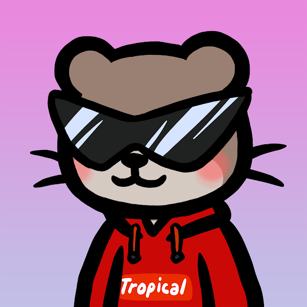TropicalOtters's tweet photo. So many cute @TropicalOtters waiting for a home 🦦❤️

New turtle owners, don't forget to check our website you might have a free otter to claim 😍

@TropiTurtles #ottermint https://t.co/luU0DBEKwS