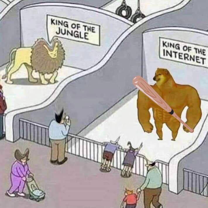 Bonkversity's tweet photo. Beware the Bonk

#dogebonk #memecoin #doge https://t.co/3BEpmrV3Z5