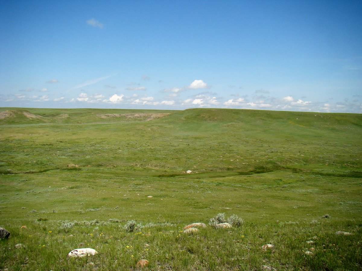 SaskPCAP's tweet image. In Saskatchewan, there is less than 13 percent of native prairie remaining. What are some things that you can do to help conserve this endangered ecosystem? 

SARSweetTweet #nativeprairie #grasslands