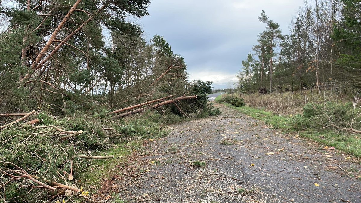 Druridge Bay parkrun tweet media