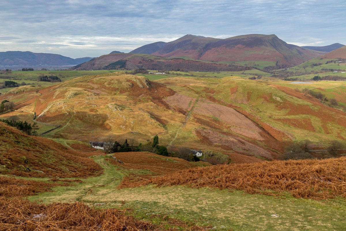 andrewswalks's tweet photo. Today's walk up High Rigg and back along St John's in the Vale @FriendsofLakes https://t.co/j4fwJWU4dm