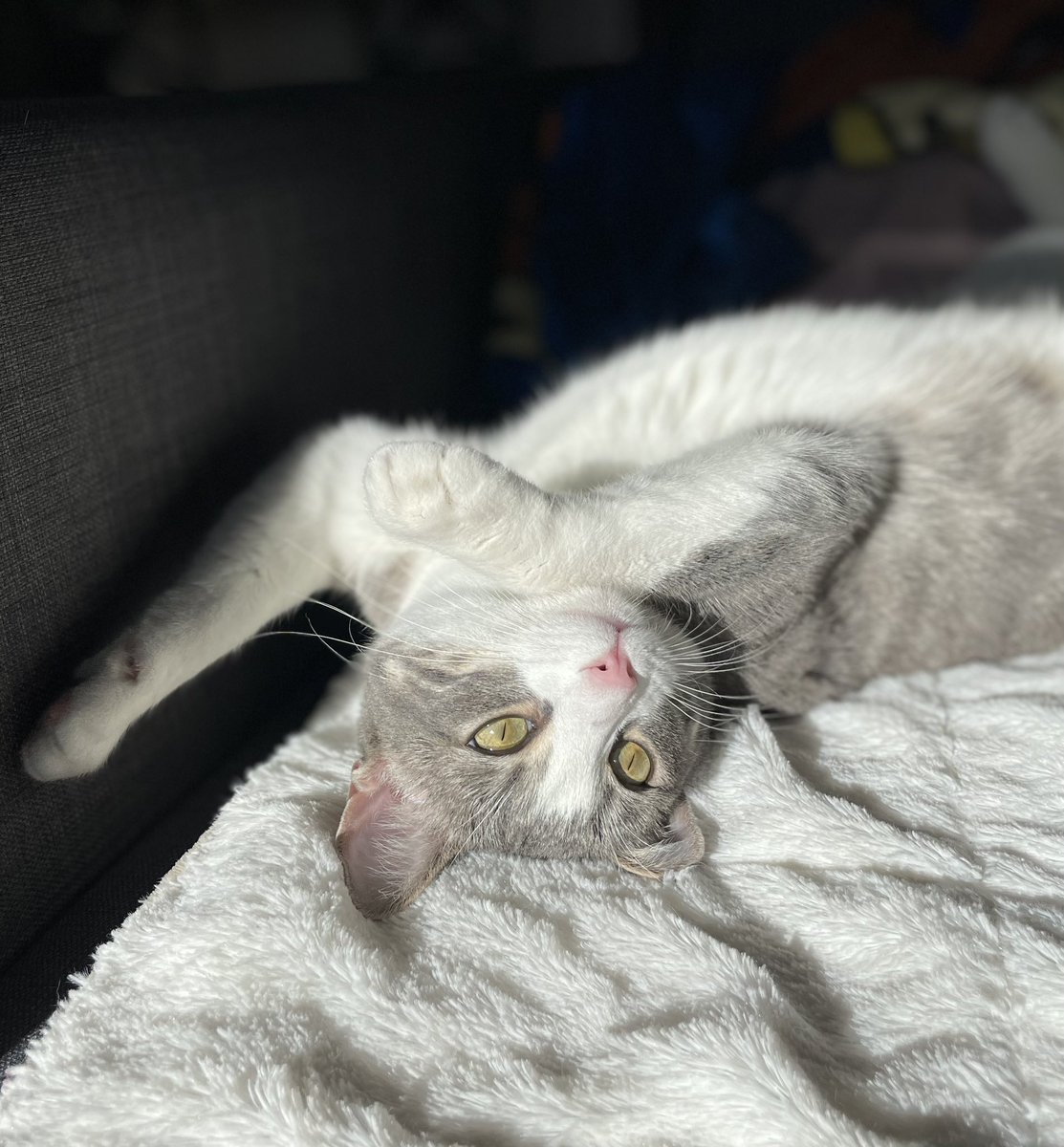 keel🌦 tweet media