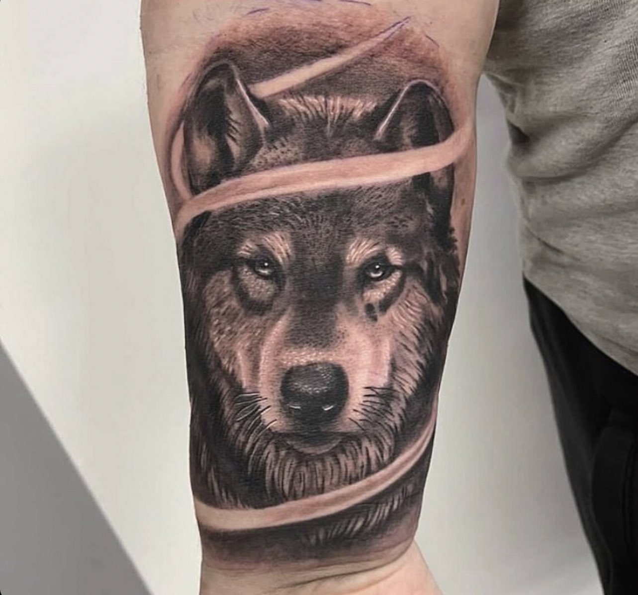 realistic wolf tattoo done at Masterpiece Tattoo in San Francisco