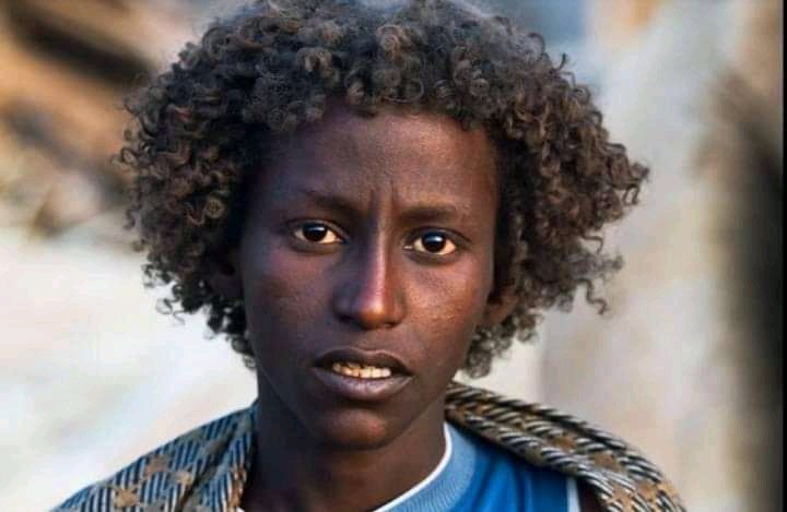 Tahir_A_Ebrahim's tweet photo. The Afar (Qafár), also known as the Danakil, Adali &amp; Odali, are an ethnic group inhabiting the Horn of Africa. They primarily live in the Afar Region of Ethiopia &amp;in northern Djibouti,as well as the entire southern coast of Eritrea.4 More https://t.co/tCbT3fb43v
@TheInsideAfrica https://t.co/tXg8zimCyr
