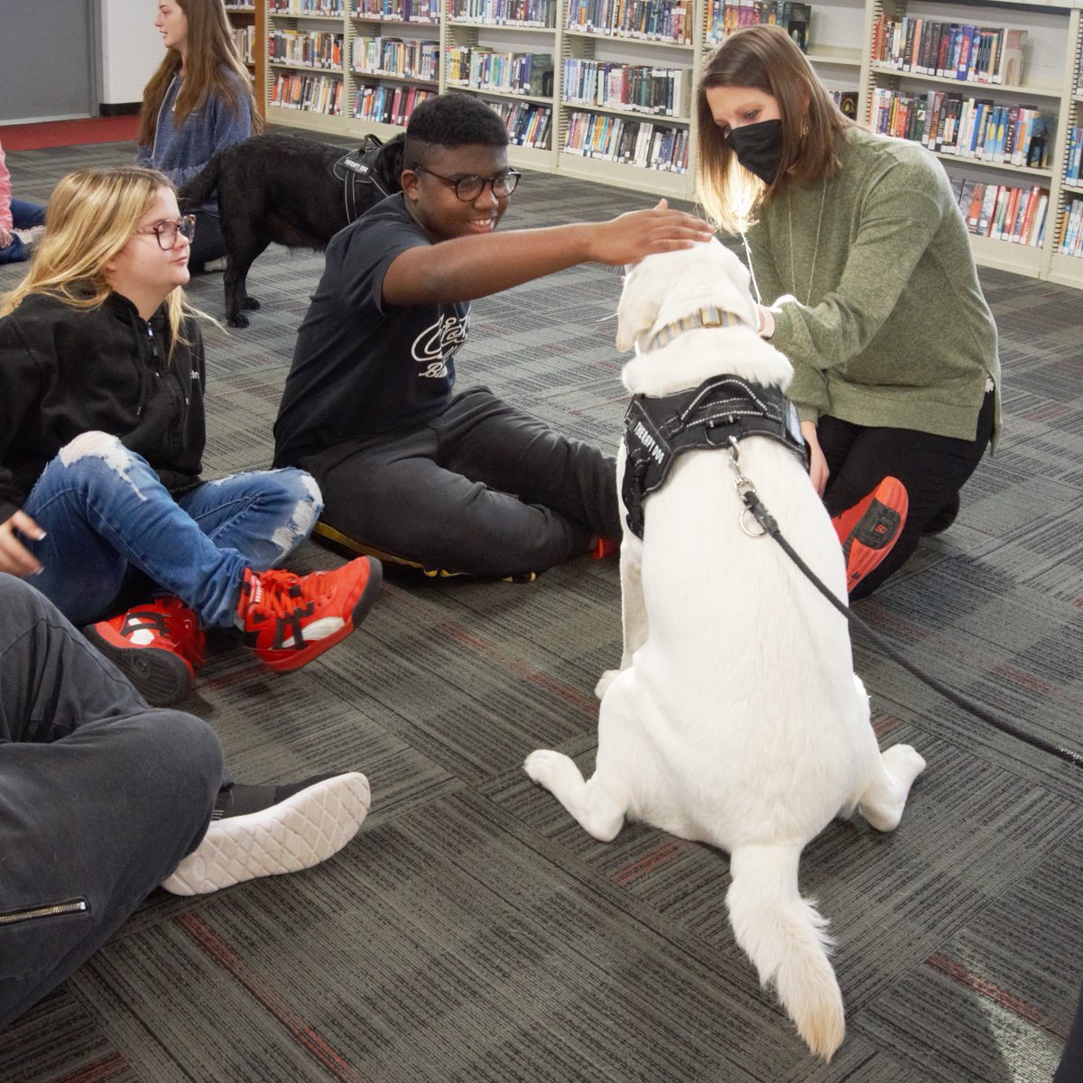 AlderSchools's tweet photo. If only every school day started with cuddles from dogs! The furry break that kids from @jonathanalderjh got to experience this morning, courtesy of Lily and Oakley's visit, was priceless.
#youmatterJA #pilotdogs #therapydogs https://t.co/s1suURtIhj