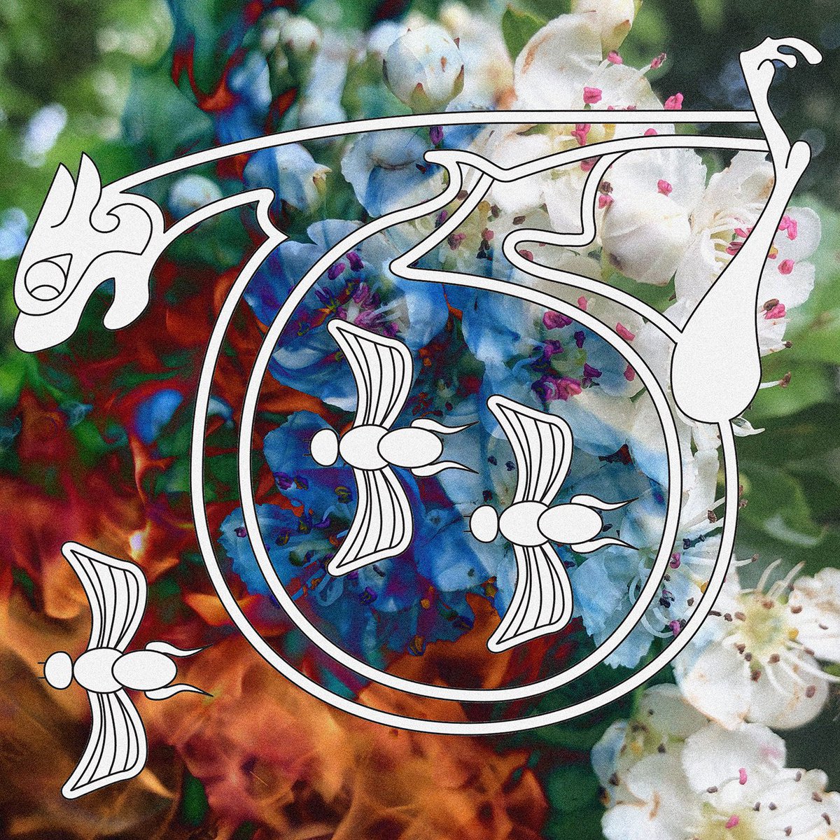 Back cover reveal
+
latest mail-out ↓

mailchi.mp/cf2963da7922/d…

DOE 003 is out tomorrow on #BandcampFriday 

🐝 🐝 🐝