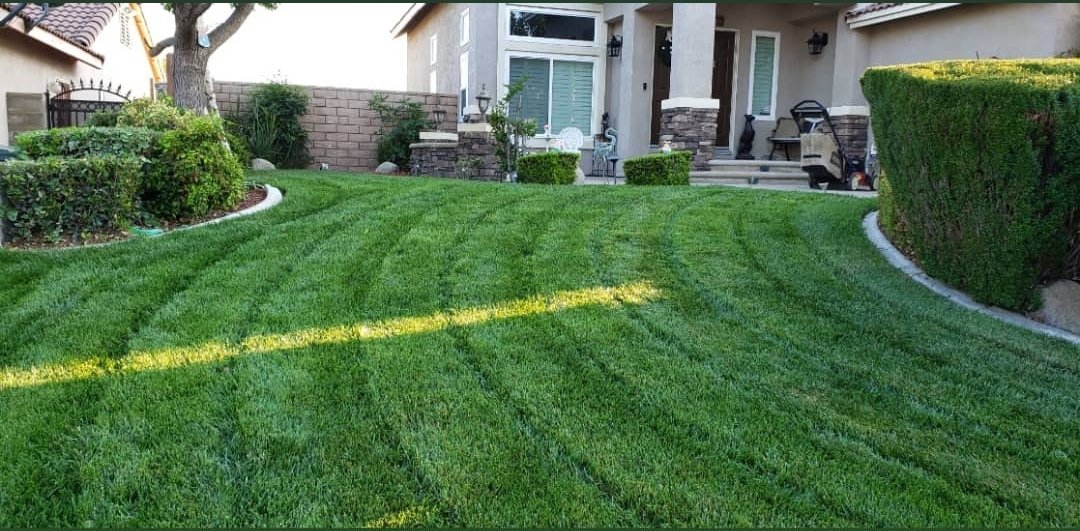 I'm all about yard maintenance!  I want it.  Lol.  #lawnlife
