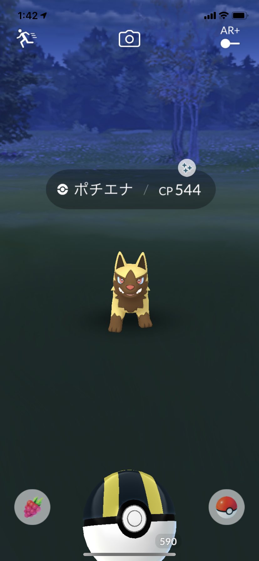 かっぱさま ポチエナ 色違い ポケモンgo T Co Ypoesm2hgn Twitter
