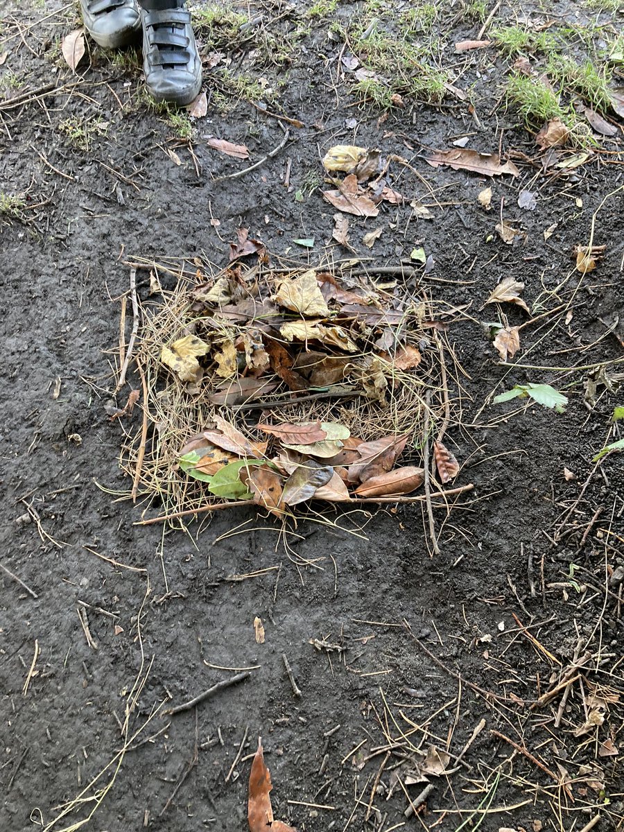 PrestonTowerPS's tweet photo. #muddyelf was looking for a bed today and P5 did not disappoint. https://t.co/JuKdxW0Hcm