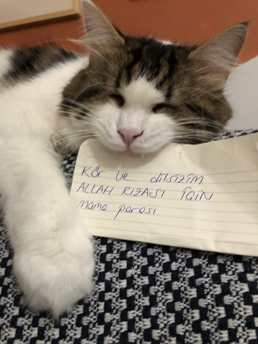bademilemunir's tweet photo. ekmeğimizin peşindeyiz :( mama fiyatlarındaki %18 kdv kaldırılsın https://t.co/ZeqhaZHrNY