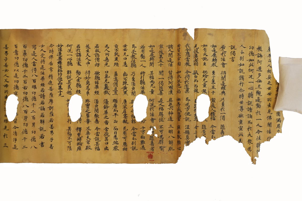 idp_uk's tweet photo. It looks like someone (🐭) enjoyed a nibble out of this scroll (S.5263) over 1000 years ago. If you look closely you can spot the small teeth marks.

It was infilled using wheat starch paste and toned Japanese paper.  

#24DaysOfConservation #LotusSutraProject #BeforeAndAfter https://t.co/w5vh1WHnSb