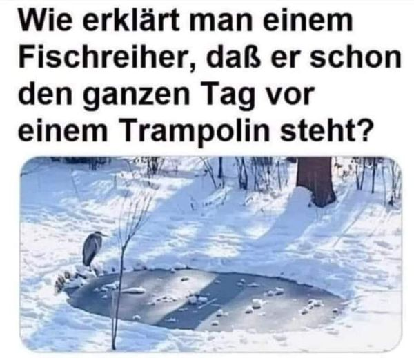 hans gerd klingen (@bruggenburgi) on Twitter photo 