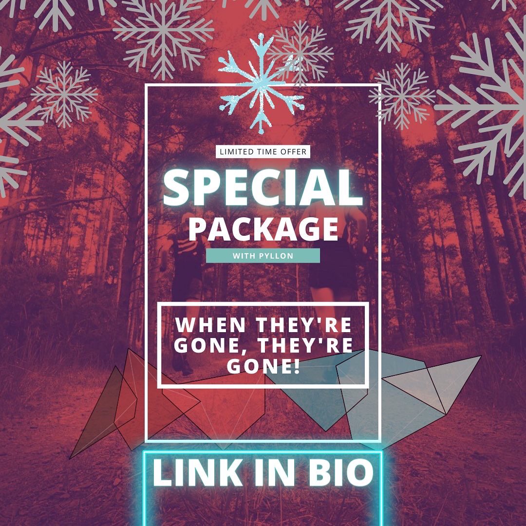 PyllonUltra tweet media