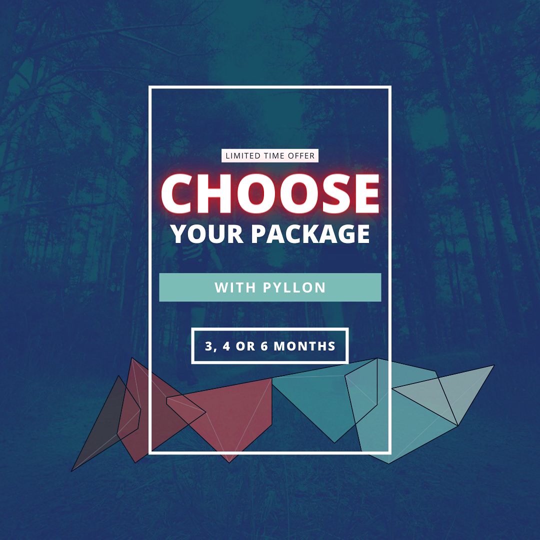 PyllonUltra tweet media