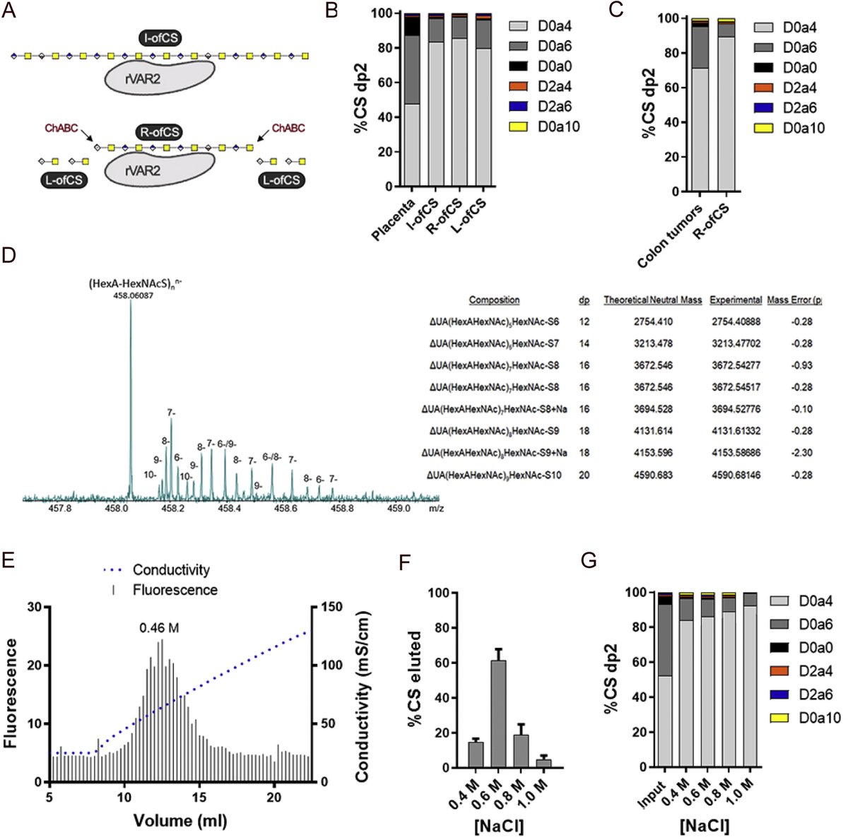 Journal of Biological Chemistry (@jbiolchem) on Twitter photo Spliid et al.'s data demonstrate that the total amount and cellular accessibility of chondroitin sulfate chains impact rVAR2 binding and thus #malaria infection
<a href="/GRTCnews/">Glycobiology Research & Training Center</a> <a href="/UCSDHealth/">UC San Diego Health</a> <a href="/UCSDnews/">UC San Diego News</a> <a href="/uni_copenhagen/">University of Copenhagen</a> <a href="/koebenhavns_uni/">Københavns Uni</a> #glycotime
jbc.org/article/S0021-… Spliid et al.'s data demonstrate that the total amount and cellular accessibility of chondroitin sulfate chains impact rVAR2 binding and thus #malaria infection
<a href="/GRTCnews/">Glycobiology Research & Training Center</a> <a href="/UCSDHealth/">UC San Diego Health</a> <a href="/UCSDnews/">UC San Diego News</a> <a href="/uni_copenhagen/">University of Copenhagen</a> <a href="/koebenhavns_uni/">Københavns Uni</a> #glycotime
jbc.org/article/S0021-…