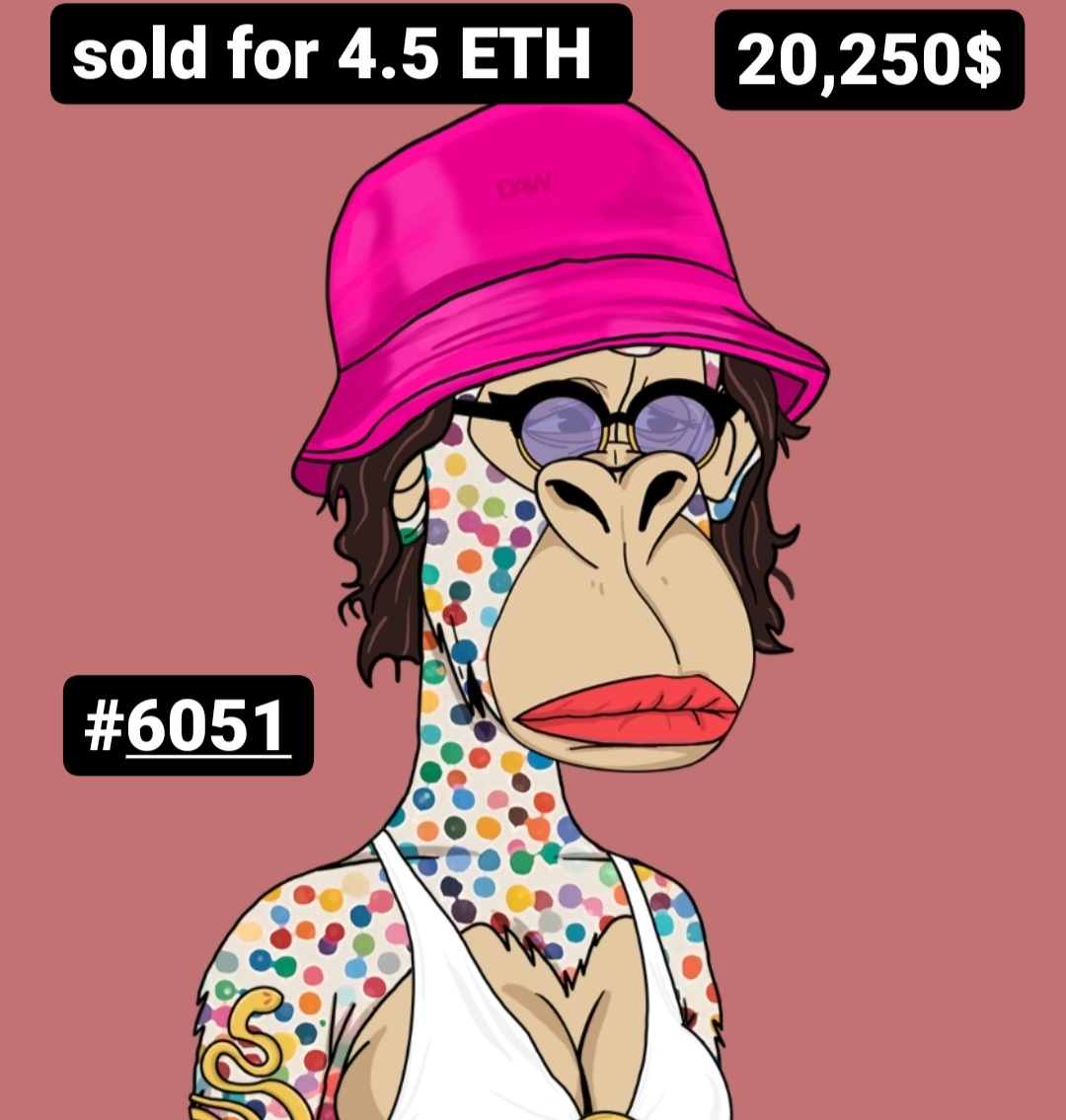 ParisApeWife's tweet photo. What is left to say that has not yet been said? 
The #floor price goes up ...
 The #volume goes up .... 
The best #community in the space ... Spread free #love...
 And waiting for the new members who want to join the #movement and the #revolution.

@DApeWives https://t.co/ZuOmFeA89G