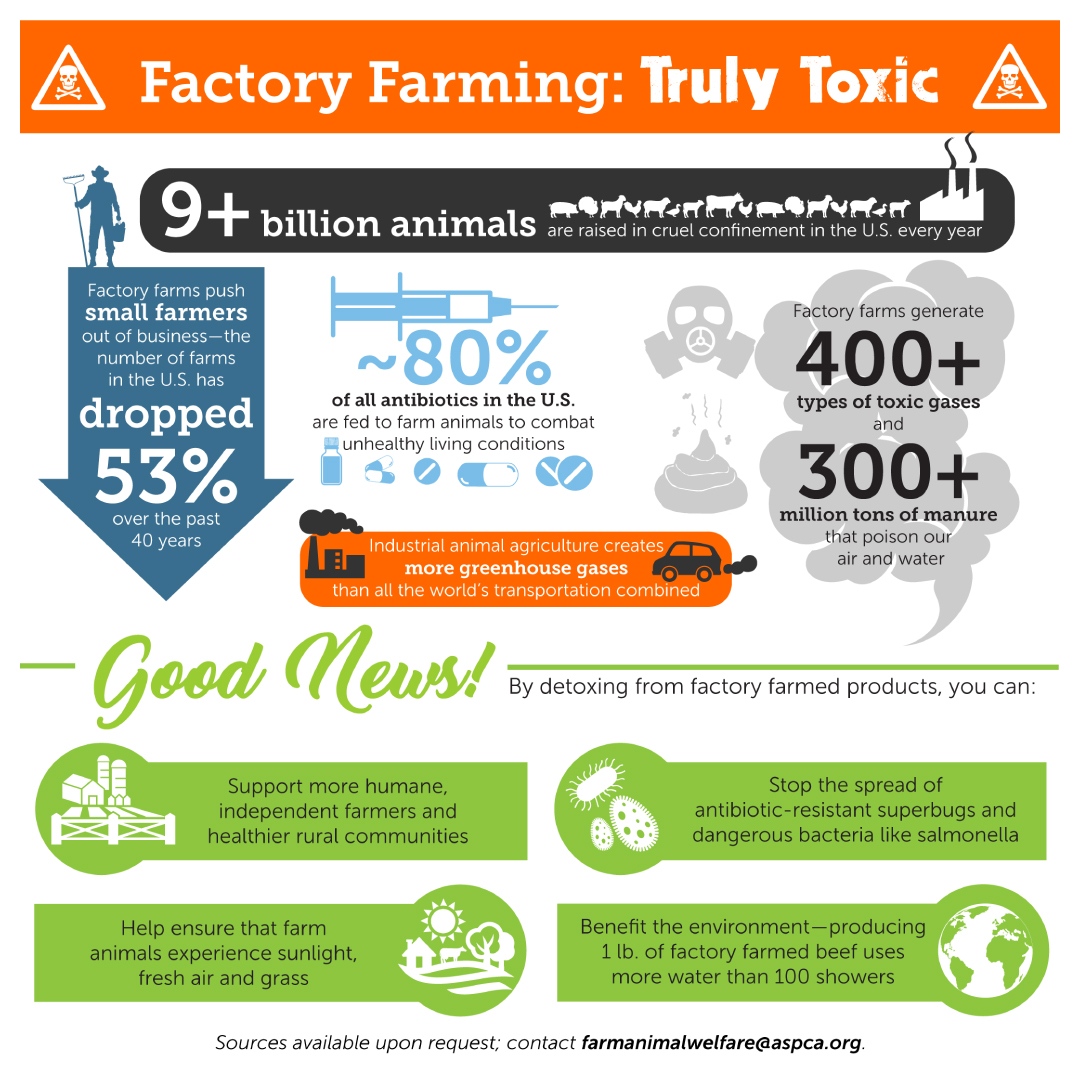 &gt;95% of US farm animals are raised in factory farms.⁠ &gt;10B animals are raised for food each year.⁠ “Factory farm” describes an industrial facility raising large numbers of farm animals where their movements are extremely inhibited. #Sourcedtherightwhey l8r.it/HzaR