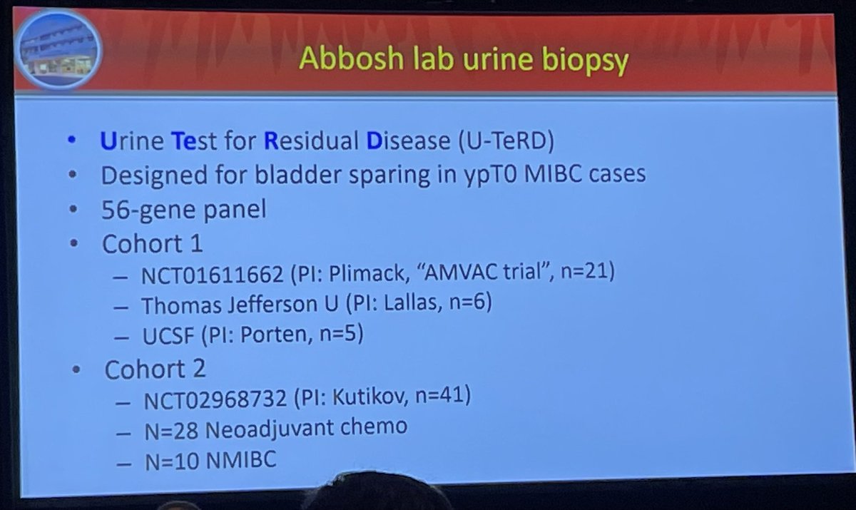 Matthew Hayn tweet media