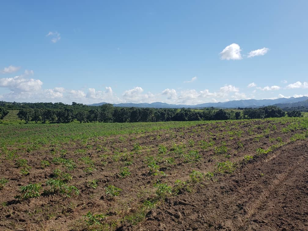 Participar y hacer juntos es la clave, expresó <a href="/DiazCanelB/">Miguel Díaz-Canel Bermúdez</a> en visita a la provincia #Cienfuegos, emotivos y productivos encuentros con la población y trabajadores en la comunidad “La Parra” y el Polo Productivo “Cítrico Arimao”, en #Cumanayagüa.  #CubaVive