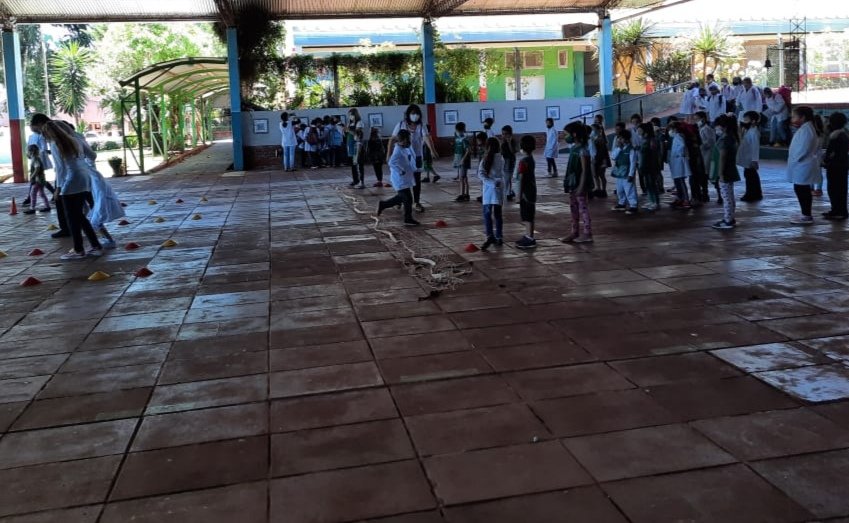 Escuela270's tweet photo. Hoy tuvimos visitas. Articulación NENI 2035 y 1° grado 270 con las Maes Cheli, Yaque, Betiana y el Profe Gian. 
#Compartimos 🙌 😊
@CGEMisiones @misioneseduca @miguel_sedoff https://t.co/VWLDtmjXYu