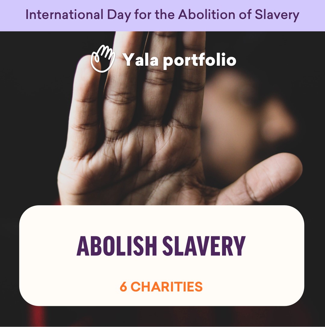 Yala Impact tweet media