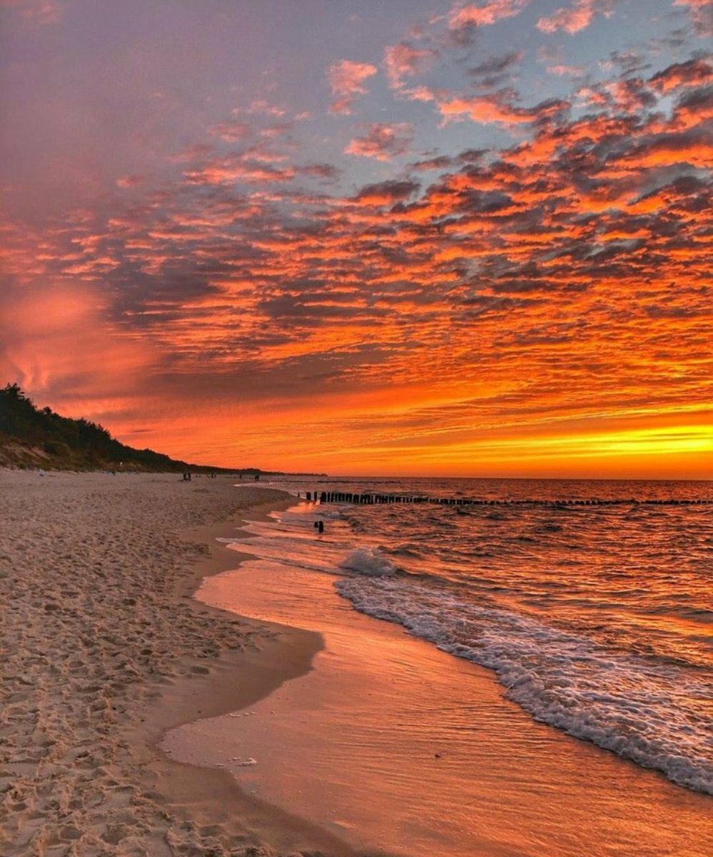 Noraflorals's tweet photo. Happy evening 😊💞⭐ https://t.co/OP4F5DcAZ6