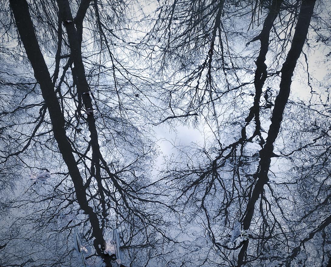 GalleryNovikov's tweet photo. Reflection https://t.co/gL8PCqXS2O