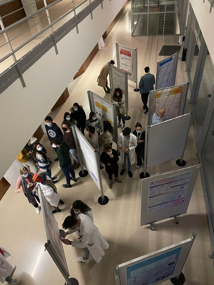 hebusto's tweet image. Comienza la colocación de los pósters de la XI Jornada del Centro de Investigación en Síntesis Química de @unirioja. Mañana las ponencias! #CISQ #QuimicaUR @RSEQUIMICA