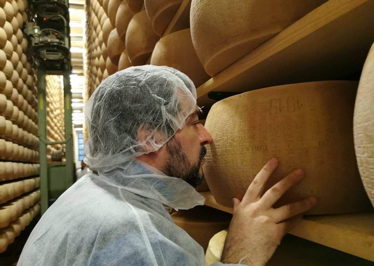 ilruttosovrano's tweet image. Renatino deve lavorare 365 giorni all'anno perché c'è uno che continua a fregare le forme di Parmigiano Raggiano per mangiarsele.