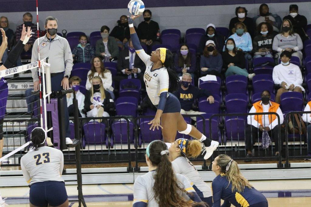 BlueDeathValley's tweet photo. Dr. Michael Simmons was often on the scene to capture Fatimah Shabazz in action. Here are some of those photos. She was magnificent on and off the court, and will never be forgotten. https://t.co/q2Zat7uV2u