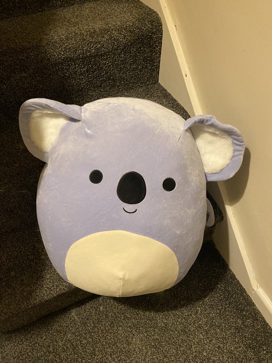 GoondockACNH's tweet photo. Essential Aldi purchase of the day 👍🏻😂 it’s SO SQUISHY!! 🥰🥰 https://t.co/wcnMAk3MjC