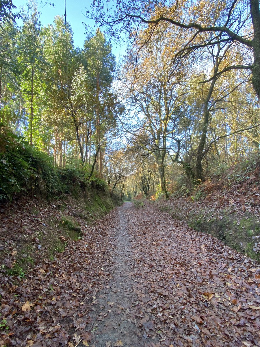 David Santos tweet media