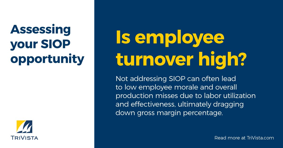 TriVista tweet media